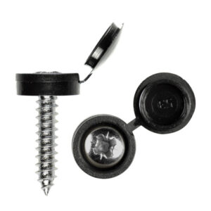 Self-Tapping Screws plus Black Caps (pack of 100)