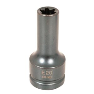 Cylinder Head Socket - E20 - 3/4in. Drive