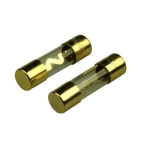 FUSE 40AMP AGU X2