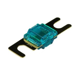Fuse 100A AFS x 2