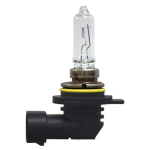 12V 55W HiR2 PX22d Halogen Headlamp Bulb