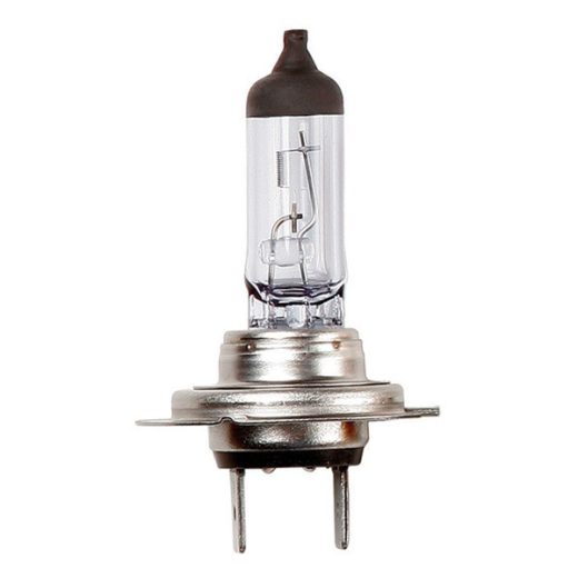 Halogen Bulbs - 12V 55W H7 Px26d H7 - Headlamp Long Life
